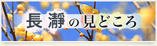 長瀞みどころ