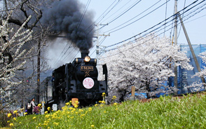 SL Paleo 蒸汽火车