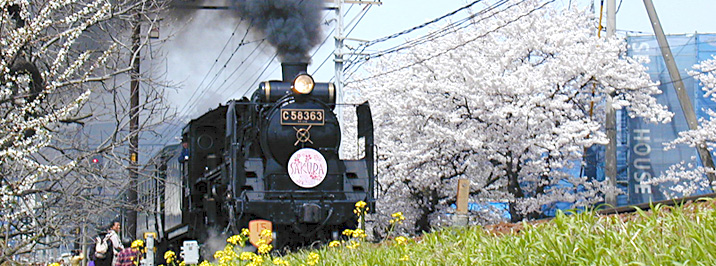 SL팔레오익스프레스