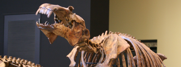 사이타마현립 자연박물관