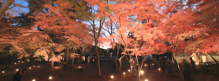 나가토로의 단풍