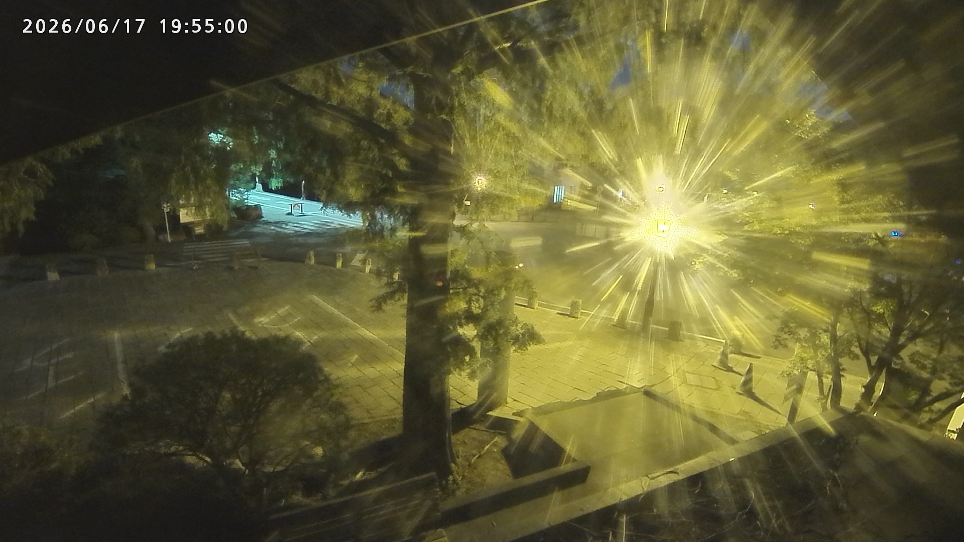 宝登山神社ロータリー 2026/06/17 19:55