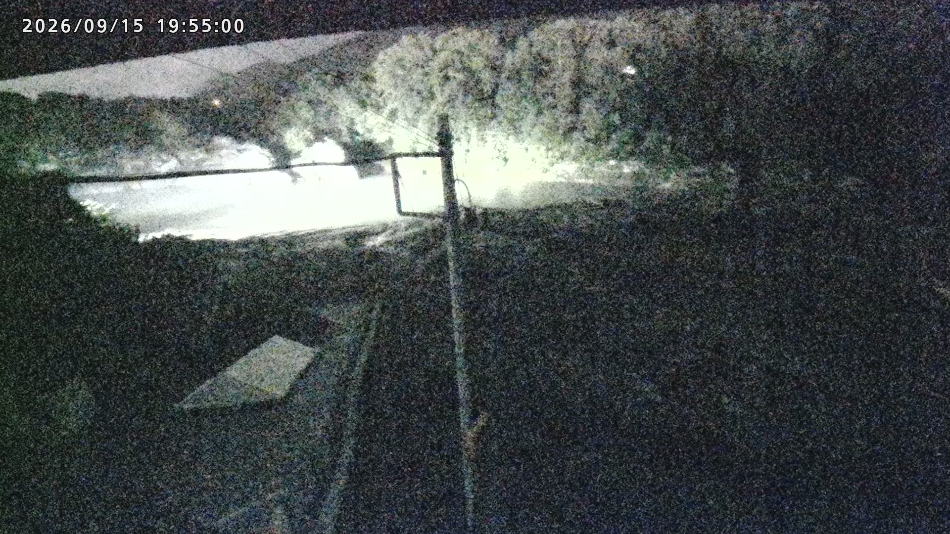 長瀞岩畳 2026/09/15 19:55
