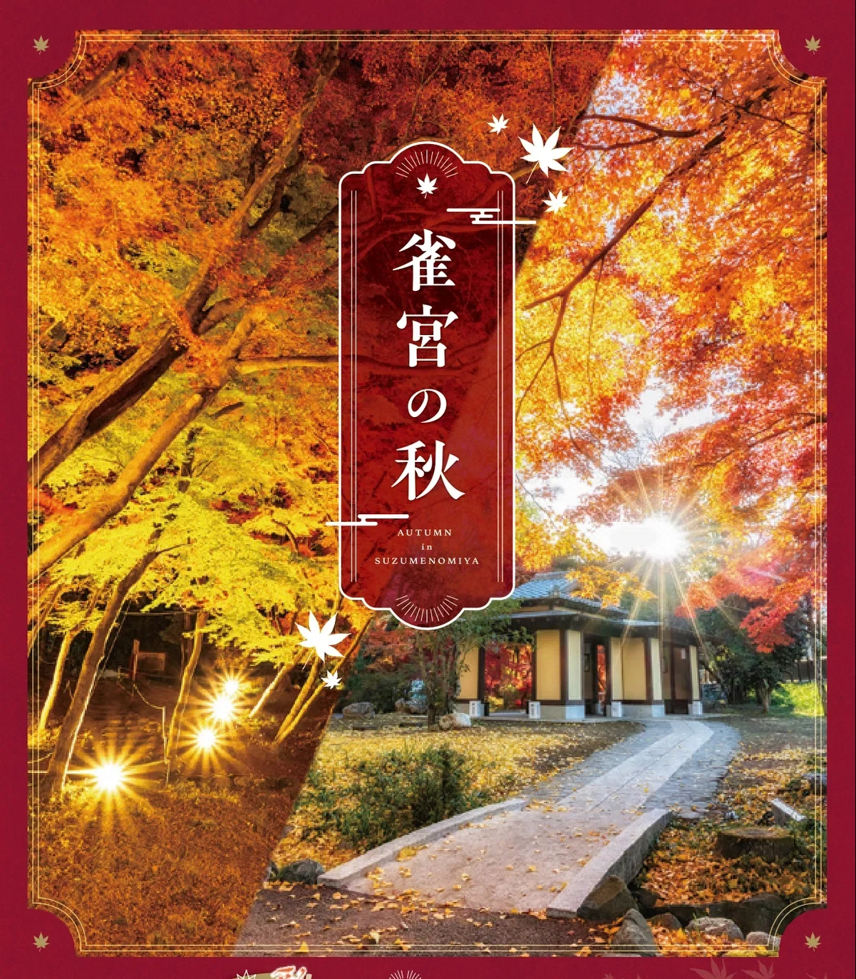 2658f56254d07b422f8a1b5a49f4fc