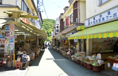 在商店街購物等