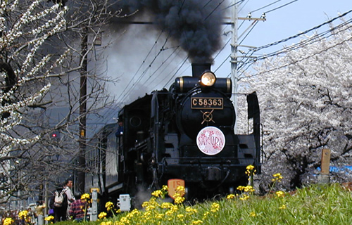 SL蒸汽火車