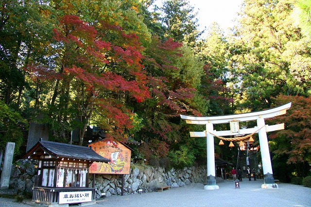 長瀞町へのふるさと納税はこちらから！