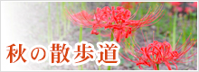 長瀞秋の散歩道