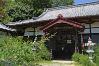 洞昌院のハギ→未開花 洞昌院のハギ→未開花