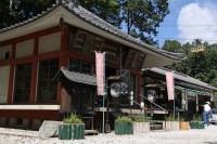 不動寺のナデシコ→未開花 不動寺のナデシコ→未開花