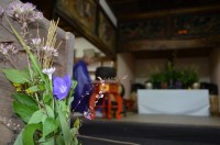 オープン法要6 オープン法要6