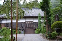 法善寺のフジバカマ→2~3分咲き 法善寺のフジバカマ→2~3分咲き