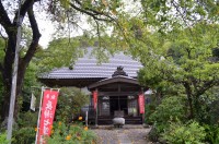 遍照寺のクズ→満開 遍照寺のクズ→満開