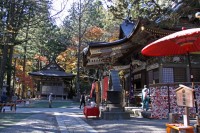 宝登山神社→見頃 宝登山神社→見頃