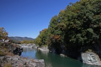 岩畳→今週末より見頃