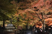 長瀞月の石もみじ公園 長瀞月の石もみじ公園