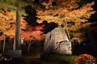 埼玉県立自然の博物館 埼玉県立自然の博物館