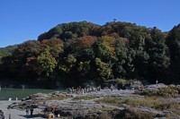 岩畳→見頃 岩畳→見頃