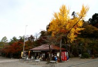 宝登山神社→見頃 宝登山神社→見頃