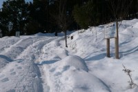 宝登山ハイキングコース