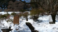 宝登山山頂の奥宮へ続く道は除雪済