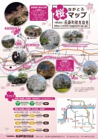 長瀞桜チラシ