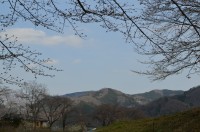 ⑥野土山→未開花