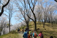 ⑥野土山→満開