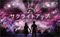 サクライトアップ　イメージ