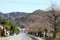 宝登山参道 01