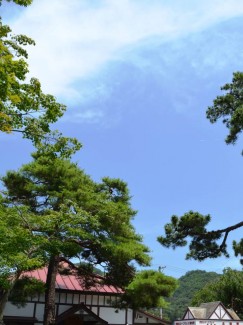 プレゼンテーション1