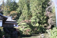 1104_hodosan_nagatoro01