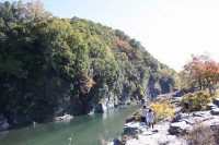 1104_iwadatami_nagatorop01