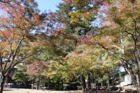 1104_tukinoishi_nagatoro02