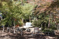 1104_tukinoishinagatoro01