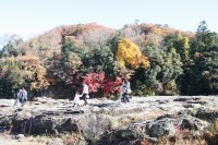 1127nagatoro_koyo (4)