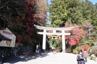 1127nagatoro_koyo (6)