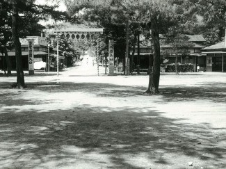 駅前ロータリーから宝登山（旧）