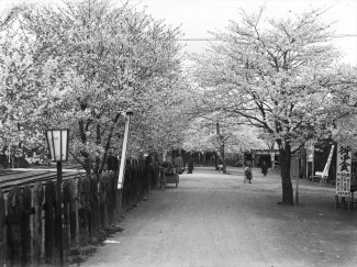 南桜通りから駅（旧）