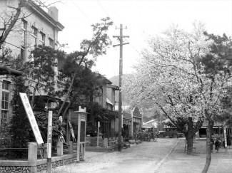 まるぶつ前から宝登山（旧）