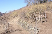 0113robai_nagatorokankokyokai (1)