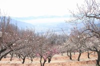 0304nagatoro_robai (2)