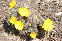 0304nagatoro_robai (3)