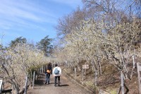 0304nagatoro_robai (5)