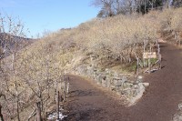 0304nagatoro_robai (6)