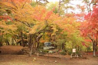 1110koyo_nagatoro (2)