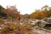 1110koyo_nagatoro (5)