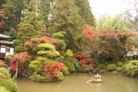 1110koyo_nagatoro (8)