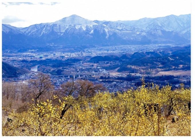 ロウバイ園から武甲山を臨む