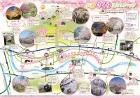桜の見どころマップ